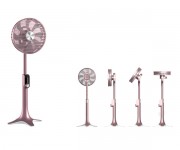 Fans