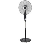 Fans