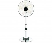 Fans