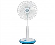 Fans