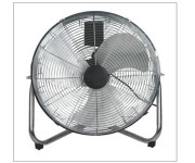 Fans