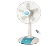 Fans