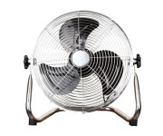 Fans