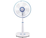 Fans