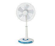 Fans
