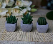 Candles